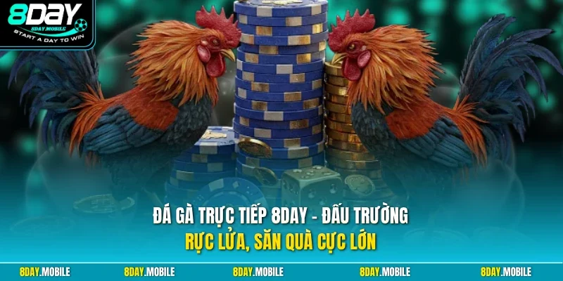 Đá gà trực tiếp 8Day